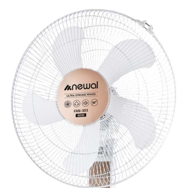 WebFAN 303 02 600x600