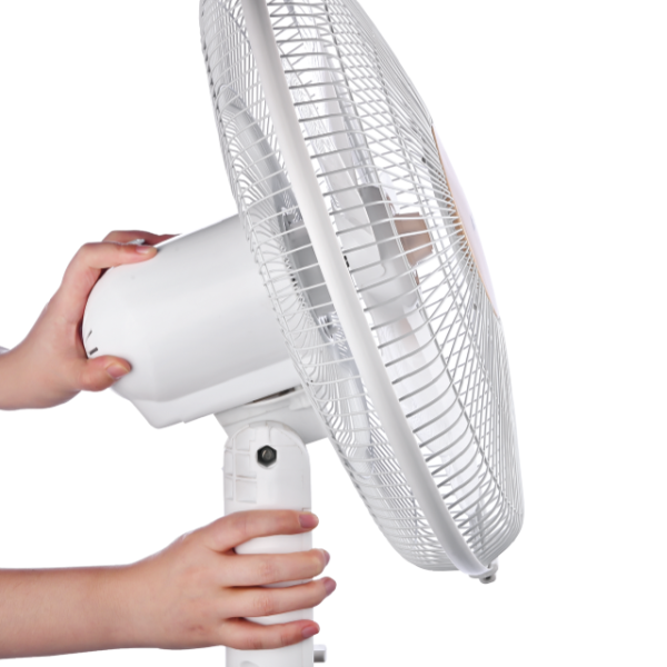 WebFAN 304 06 600x600